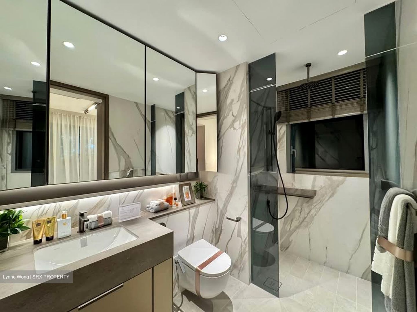 Zion Road (D3), Condominium #576126861